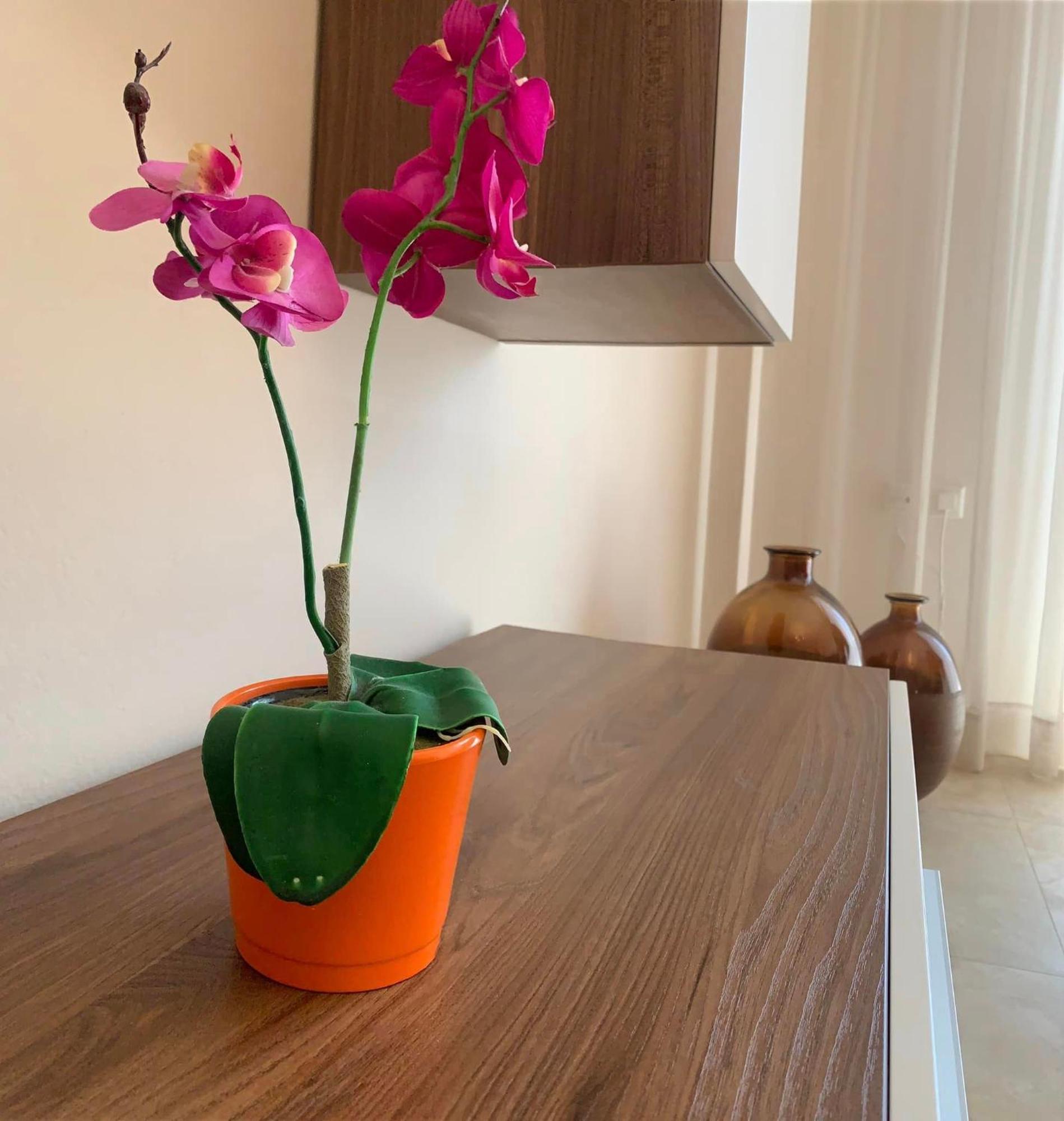 Αpartments Anna Deluxe Lägenhet Kavala Exteriör bild